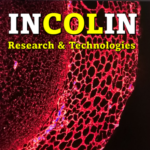 Group logo of INCOLIN Technologies
