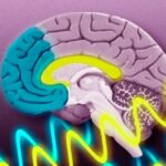 Group logo of Neurophysiology